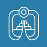 Sacbe Logo Icon